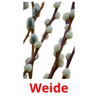 Weide card for translate