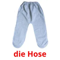 die Hose cartes flash