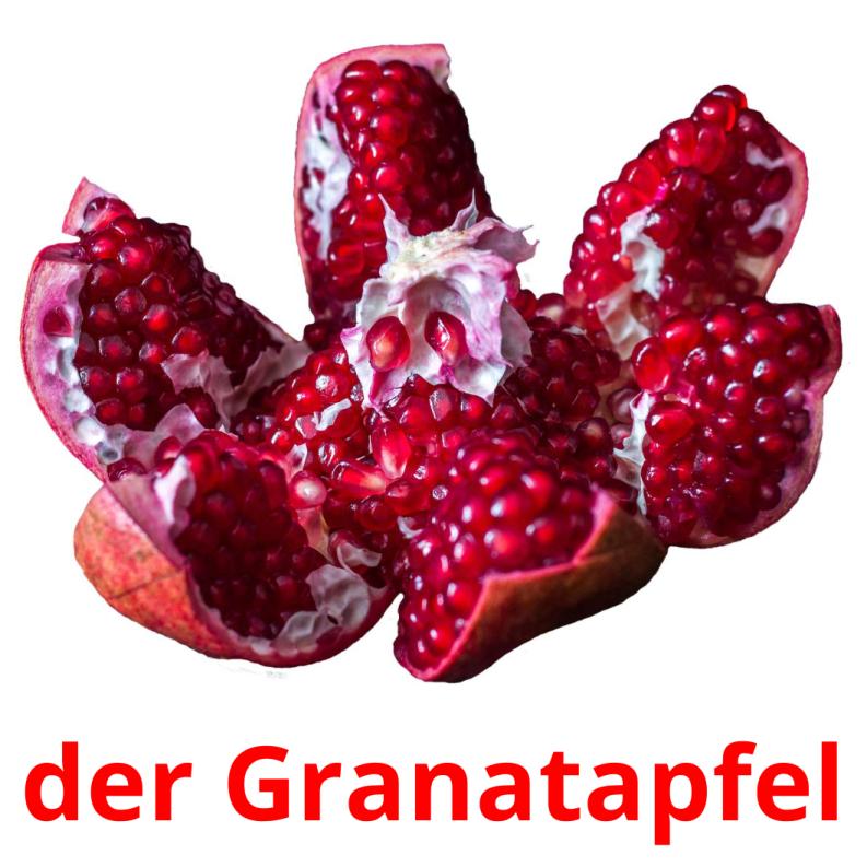 der Granatapfel picture flashcards