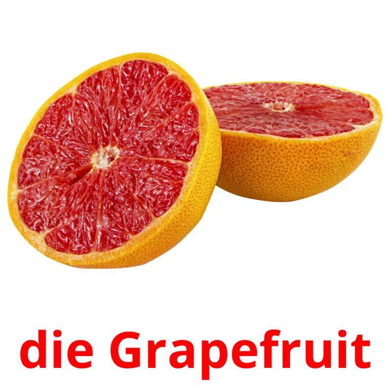 20 FREE Fruits Flashcards in PDF German Pictures