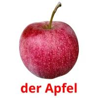 der Apfel picture flashcards