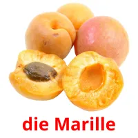 die Marille picture flashcards