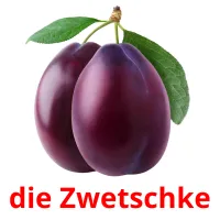 die Zwetschke picture flashcards