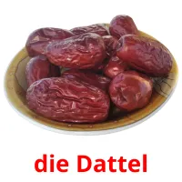 die Dattel picture flashcards