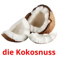 die Kokosnuss picture flashcards