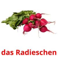 das Radieschen cartes flash