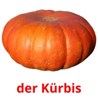 der Kürbis cartes flash