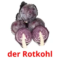 der Rotkohl cartes flash