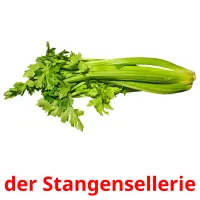 der Stangensellerie cartes flash