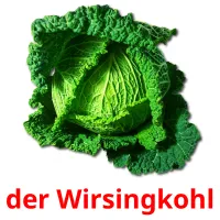 der Wirsingkohl cartes flash