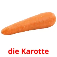 die Karotte cartes flash