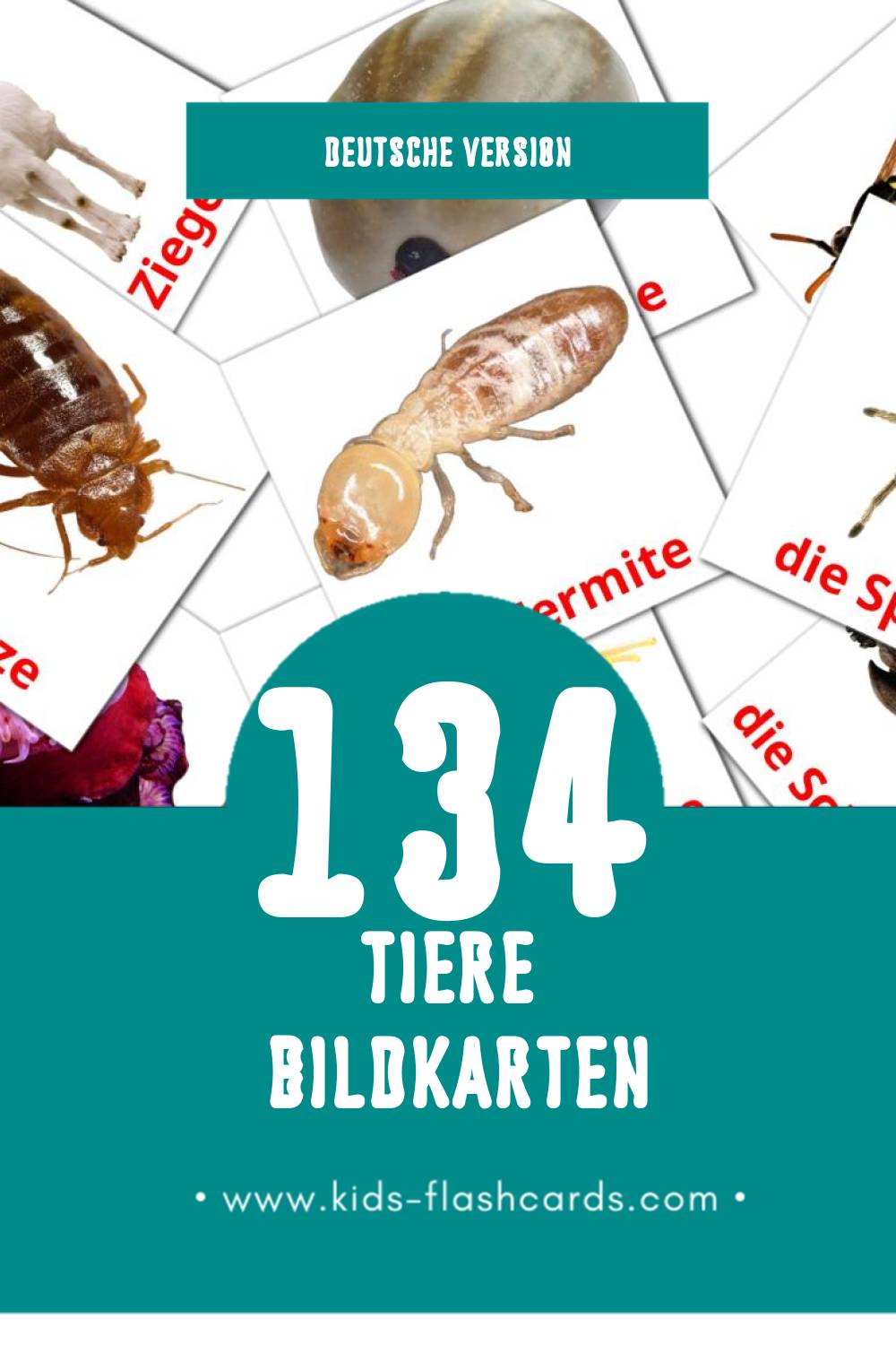 Visual Tiere Flashcards für Kleinkinder (134 Karten in Deutsch)