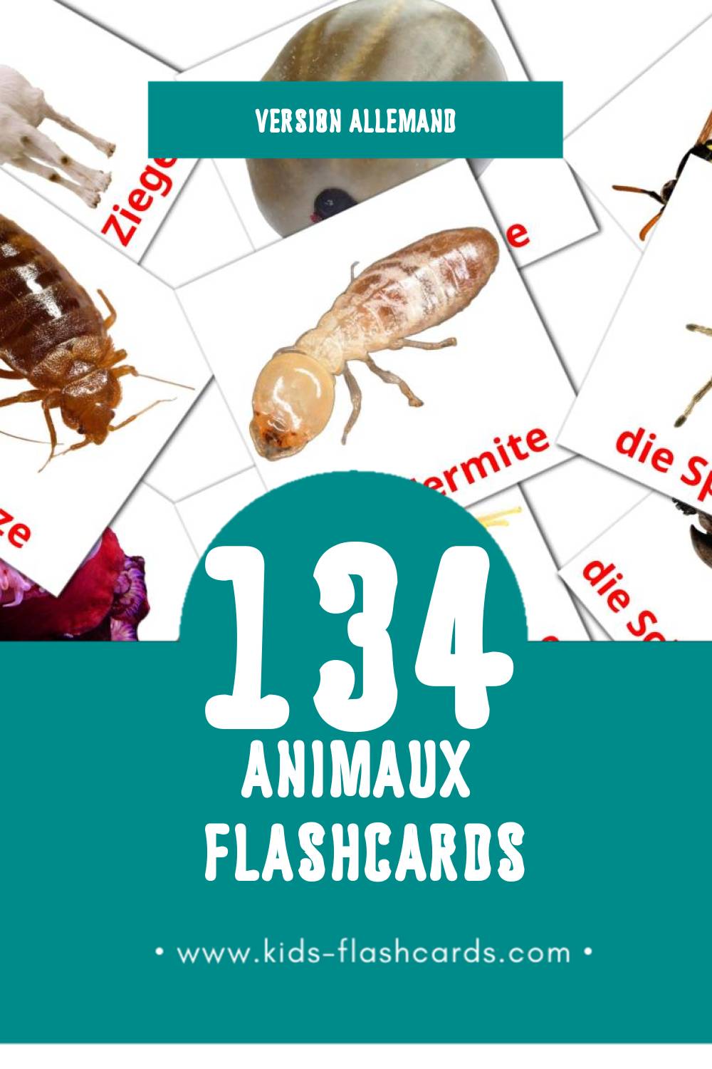 Flashcards Visual Tiere pour les tout-petits (134 cartes en Allemand)