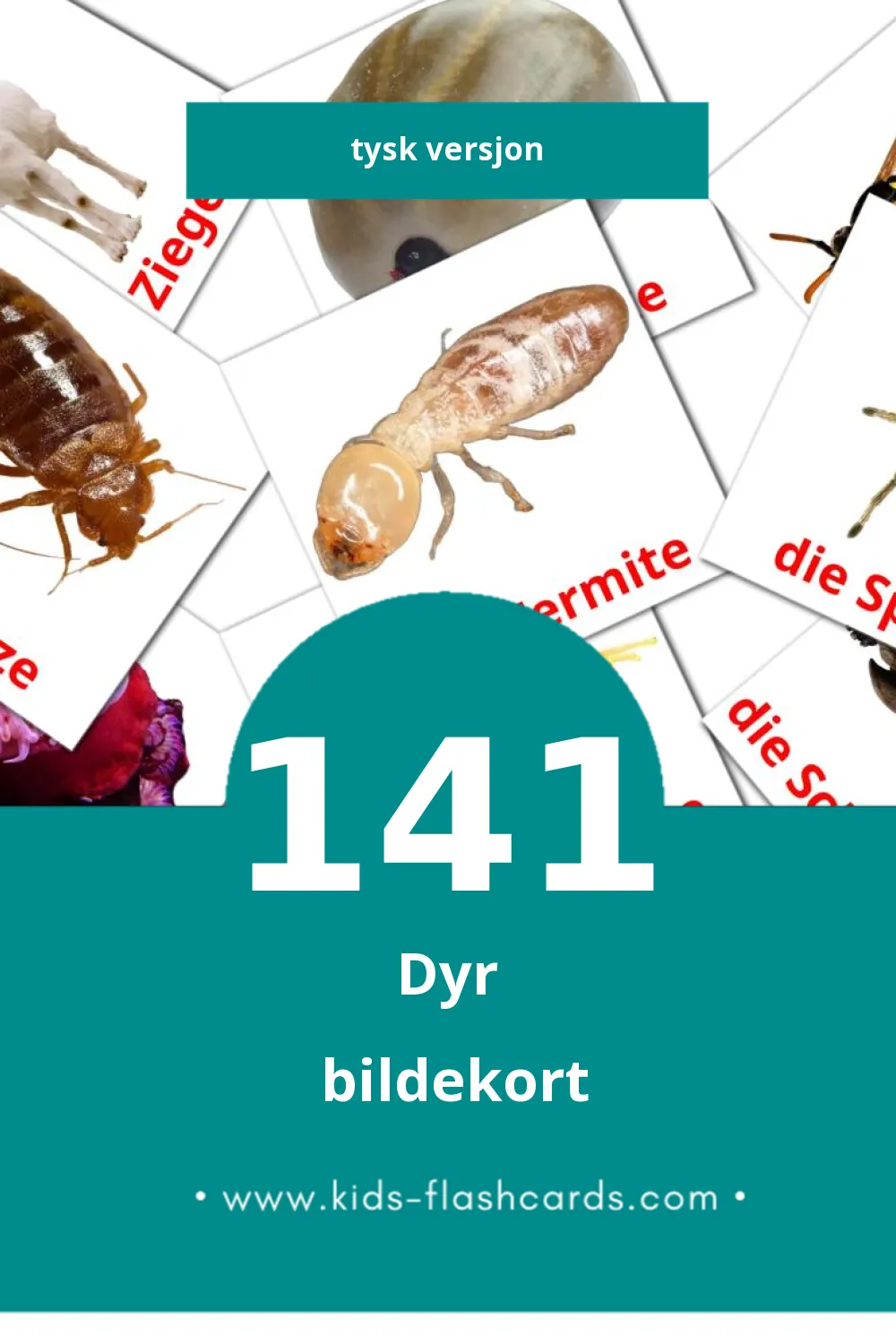 Visuelle Tiere bildekort for småbarn (141 kort på Tysk)