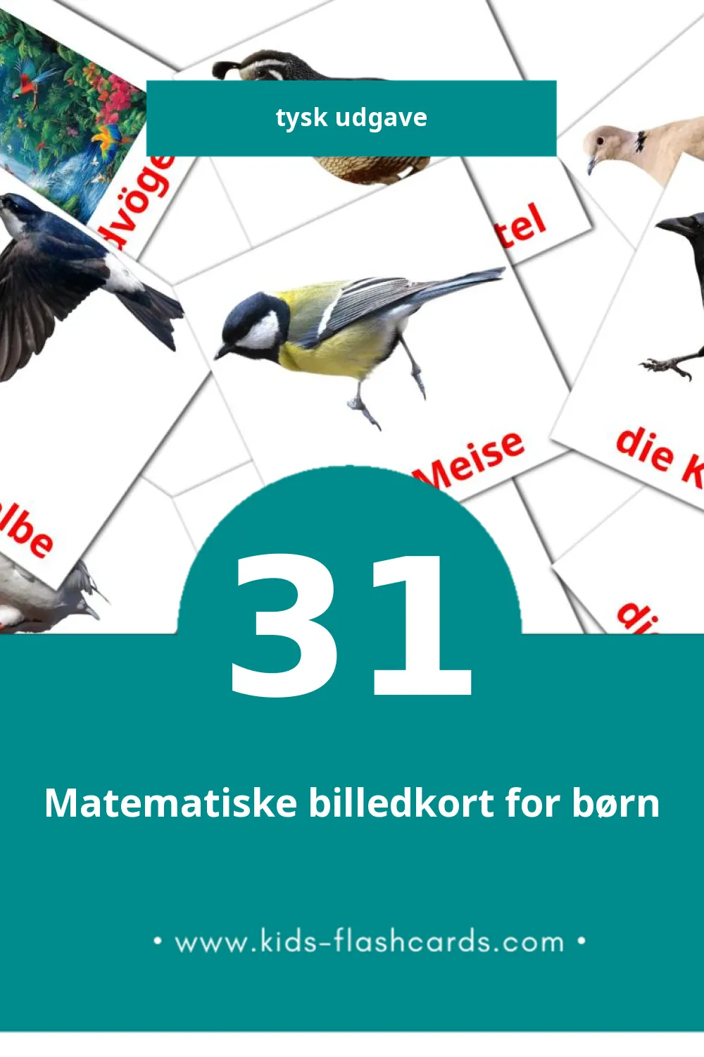 Visuelle billedkort for børn om Vögel til småbørn (31 kort på Tysk)
