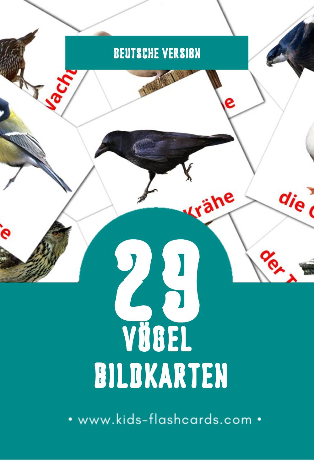 Visual Vögel Flashcards für Kleinkinder (29 Karten in Deutsch)