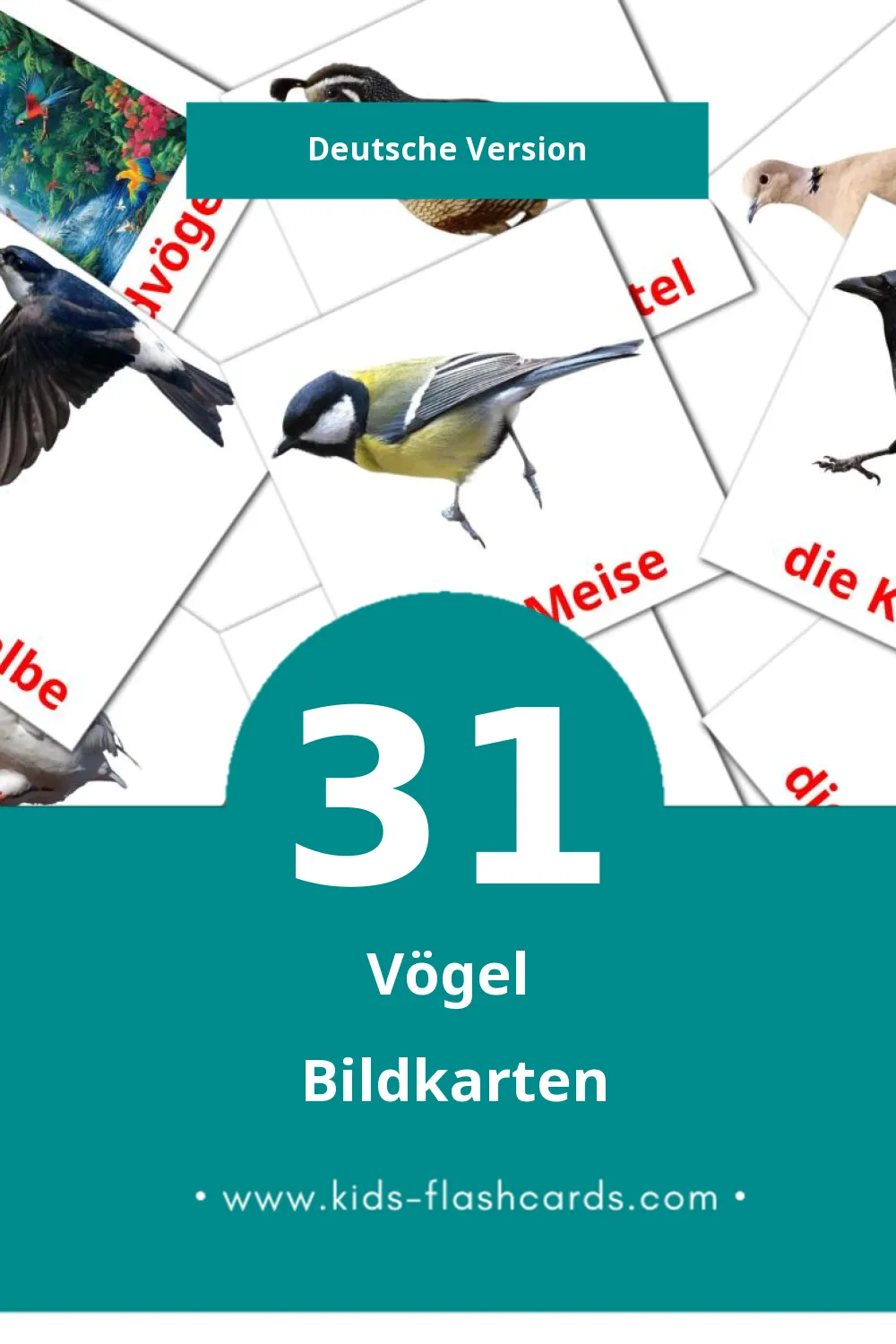 Visual Vögel Flashcards für Kleinkinder (31 Karten in Deutsch)