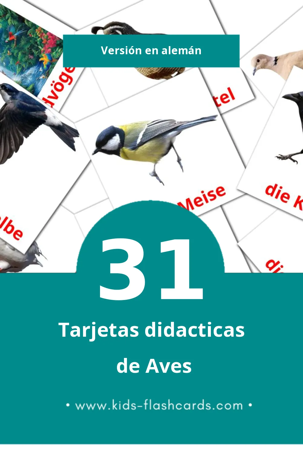 Tarjetas visuales de Vögel para niños pequeños (31 tarjetas en Alemán)