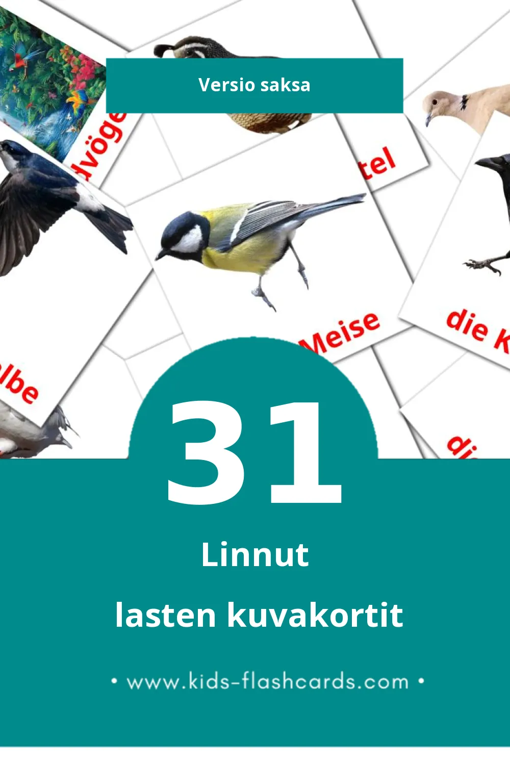 Vögel lasten kuvakortit pikkulapsille (31 korttia Saksaksi)