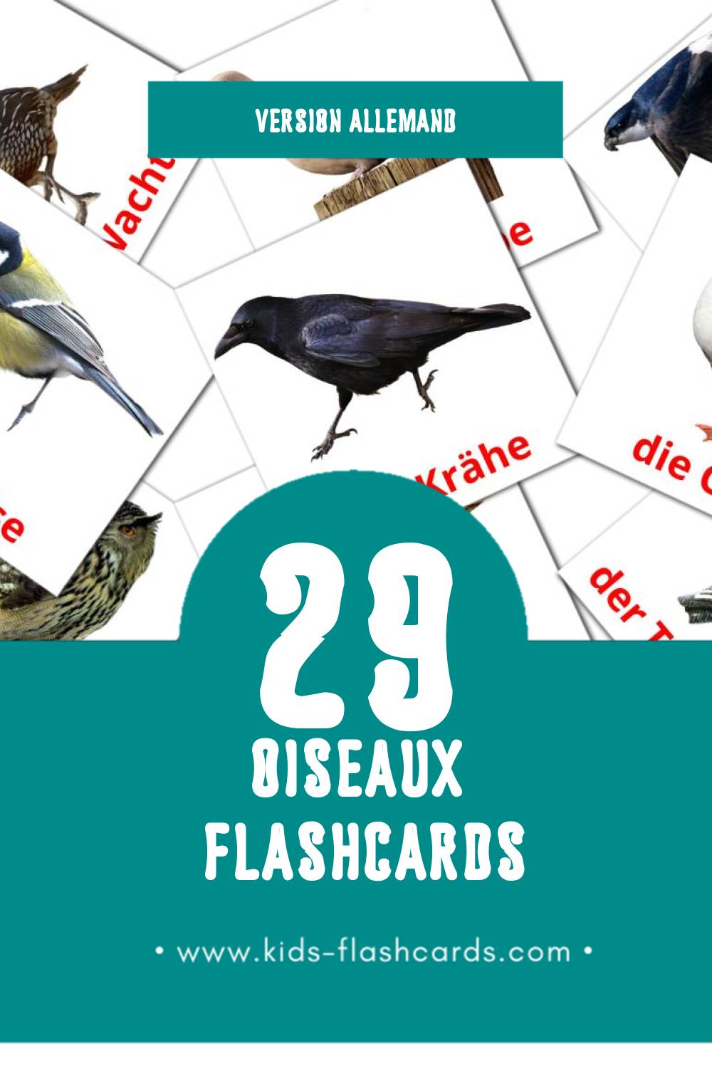 Flashcards Visual Die Vögel pour les tout-petits (29 cartes en Allemand)