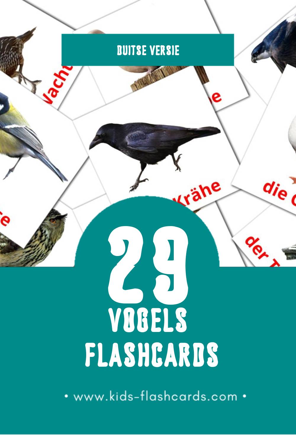 Visuele Vögel Flashcards voor Kleuters (29 kaarten in het Duits)