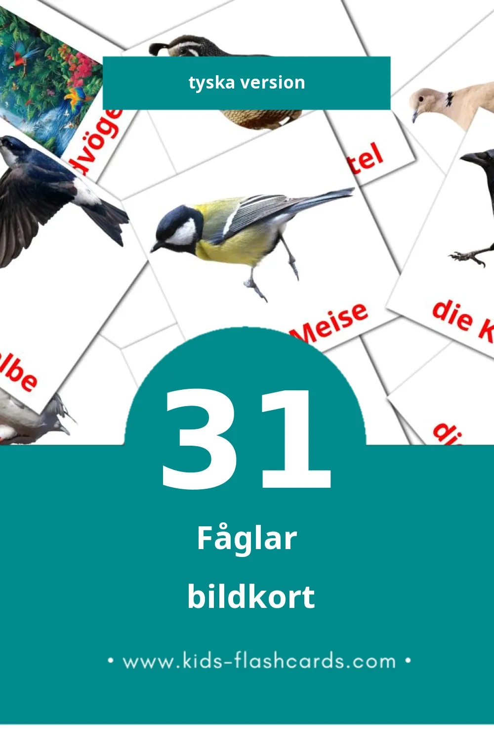 Vögel lasten kuvakortit pikkulapsille (31 korttia Tyska)