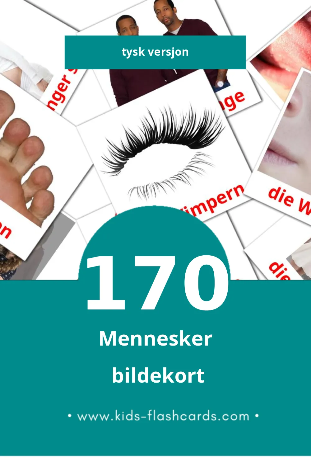 Visuelle Menschen bildekort for småbarn (170 kort på Tysk)