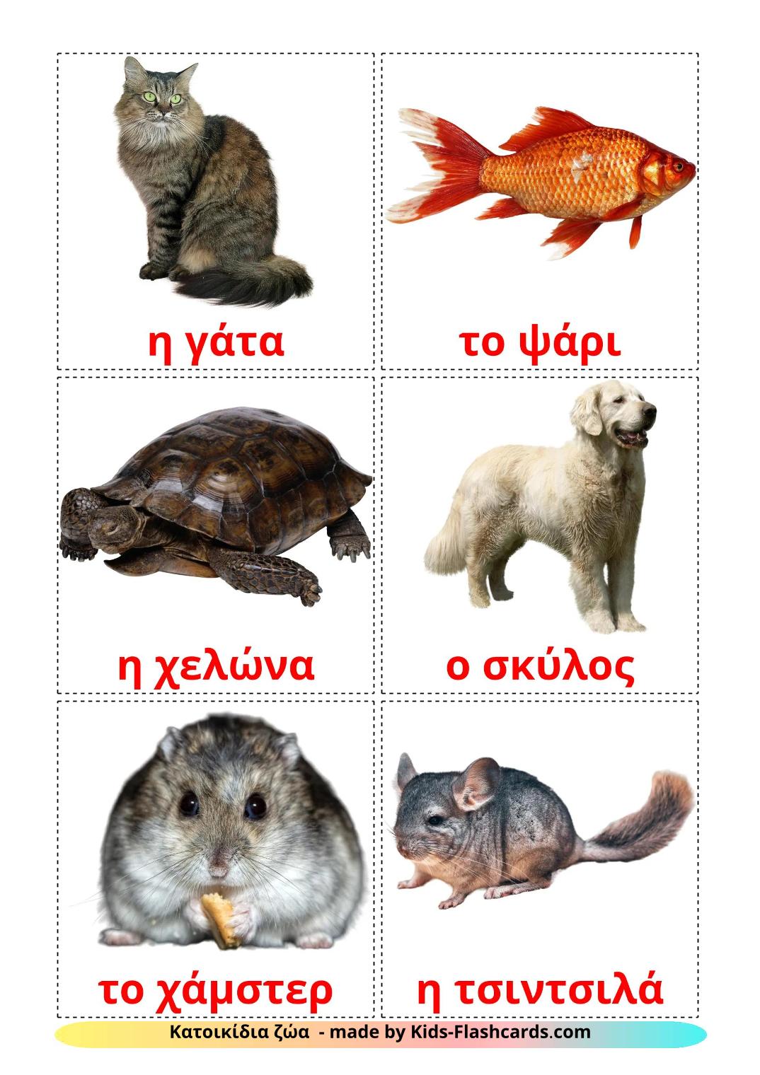 Domestic animals - 11 Free Printable greek Flashcards 