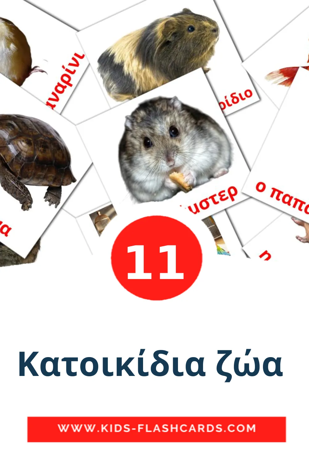 11 Κατοικίδια ζώα  Picture Cards for Kindergarden in greek