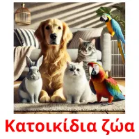 Κατοικίδια ζώα picture flashcards