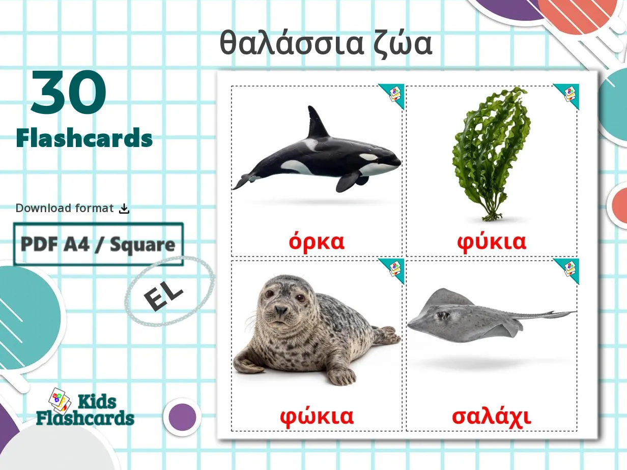 30 Printable Sea animals Flashcards in Greek (Free PDF)