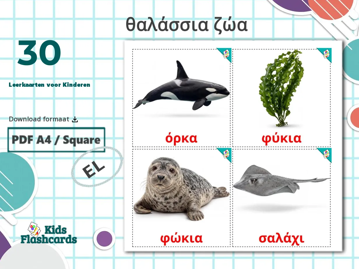30 GRATIS Zeedieren Leerkaarten Voor Kinderen In 4 PDF Formaten 30-gratis-zeedieren-leerkaarten-voor-kinderen-in-4-pdf-formaten