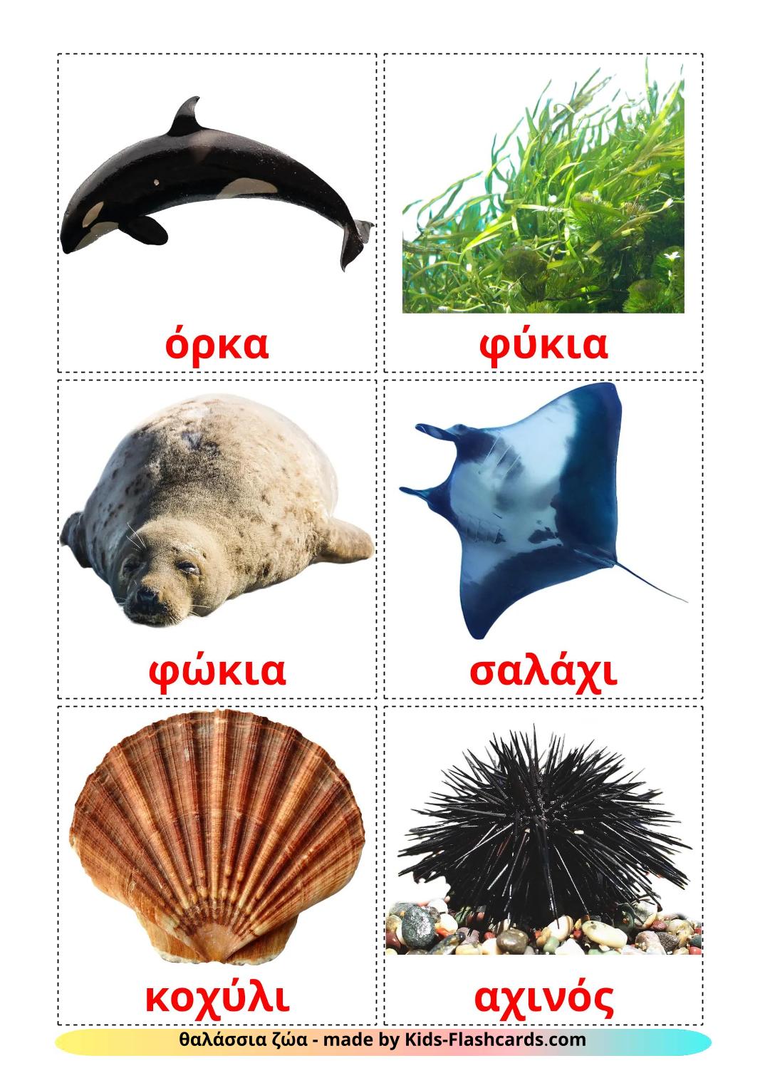 Sea animals - 30 Free Printable greek Flashcards 