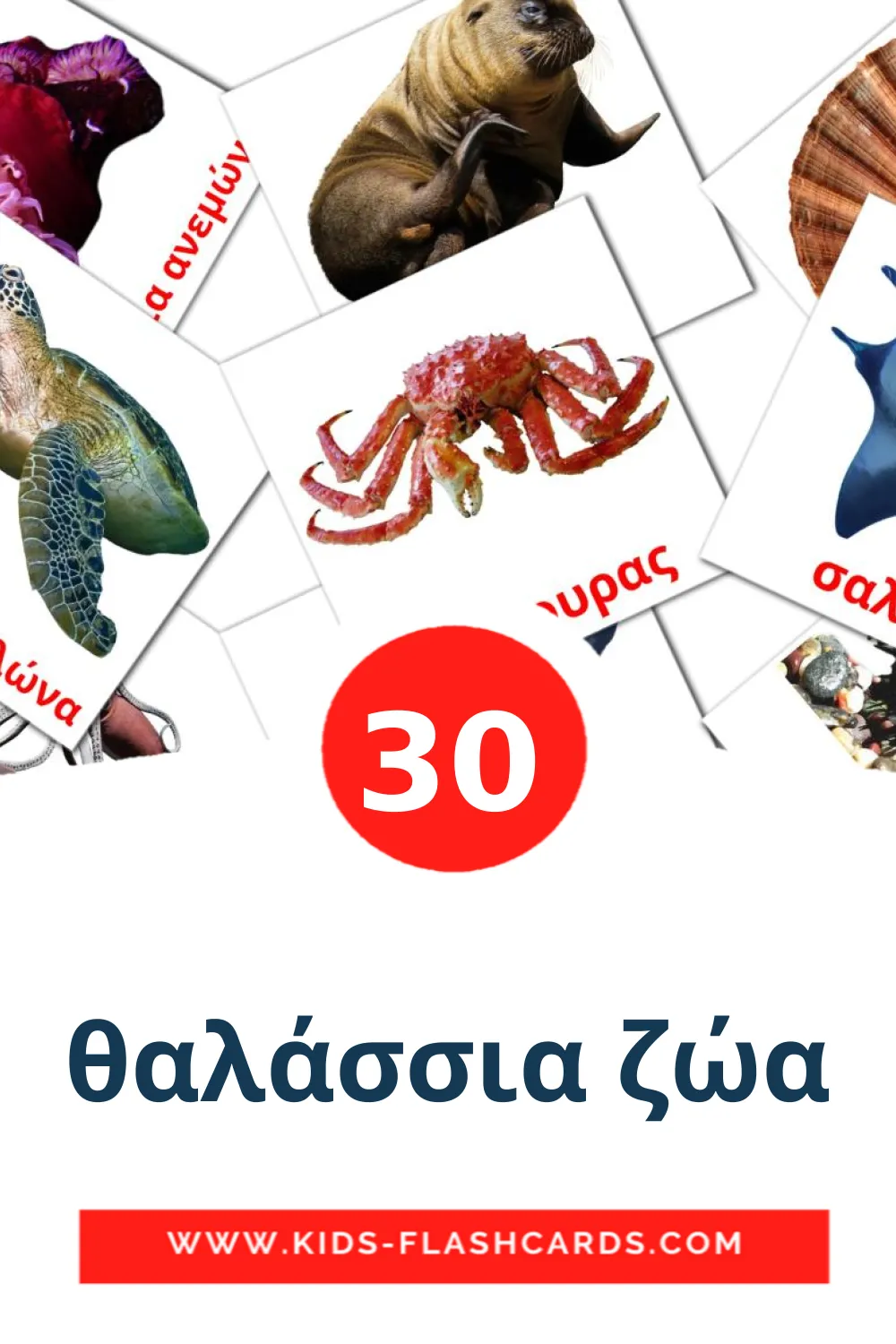 30 θαλάσσια ζώα Picture Cards for Kindergarden in greek