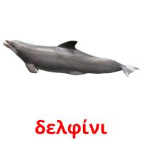 δελφίνι card for translate