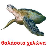 θαλάσσια χελώνα card for translate