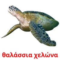 θαλάσσια χελώνα picture flashcards