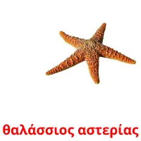 θαλάσσιος αστερίας picture flashcards