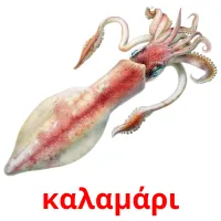 καλαμάρι picture flashcards