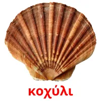 κοχύλι picture flashcards