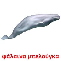 φάλαινα μπελούγκα picture flashcards