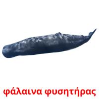 φάλαινα φυσητήρας card for translate
