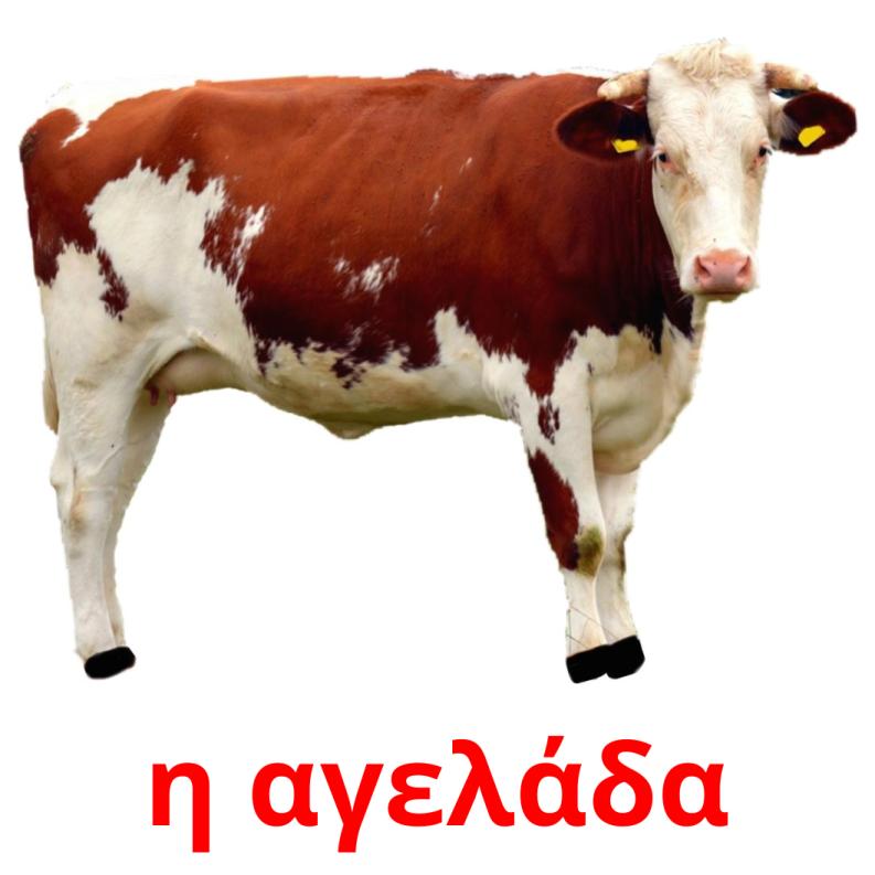 η αγελάδα Tarjetas didacticas