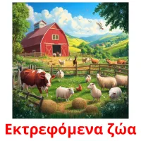 Εκτρεφόμενα ζώα ansichtkaarten