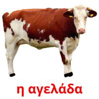 η αγελάδα card for translate