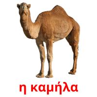 η καμήλα card for translate