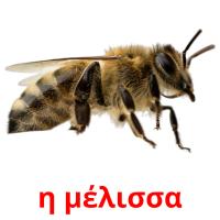 η μέλισσα picture flashcards