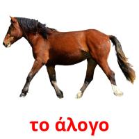 το άλογο picture flashcards
