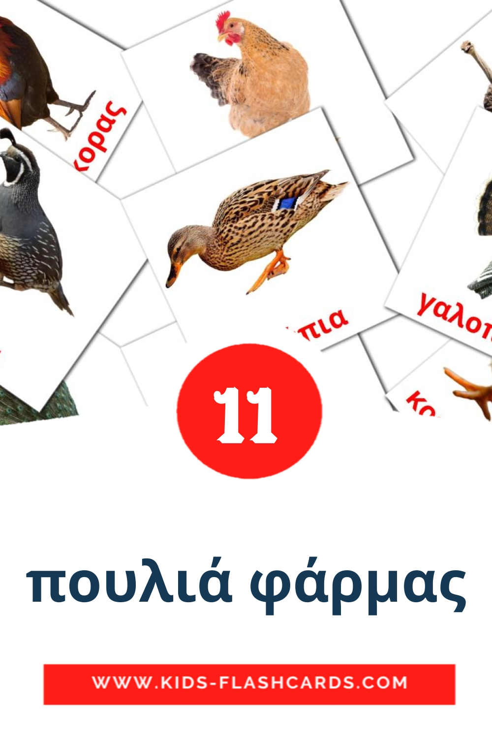 11 cartes illustrées de πουλιά φάρμας pour la maternelle en grec