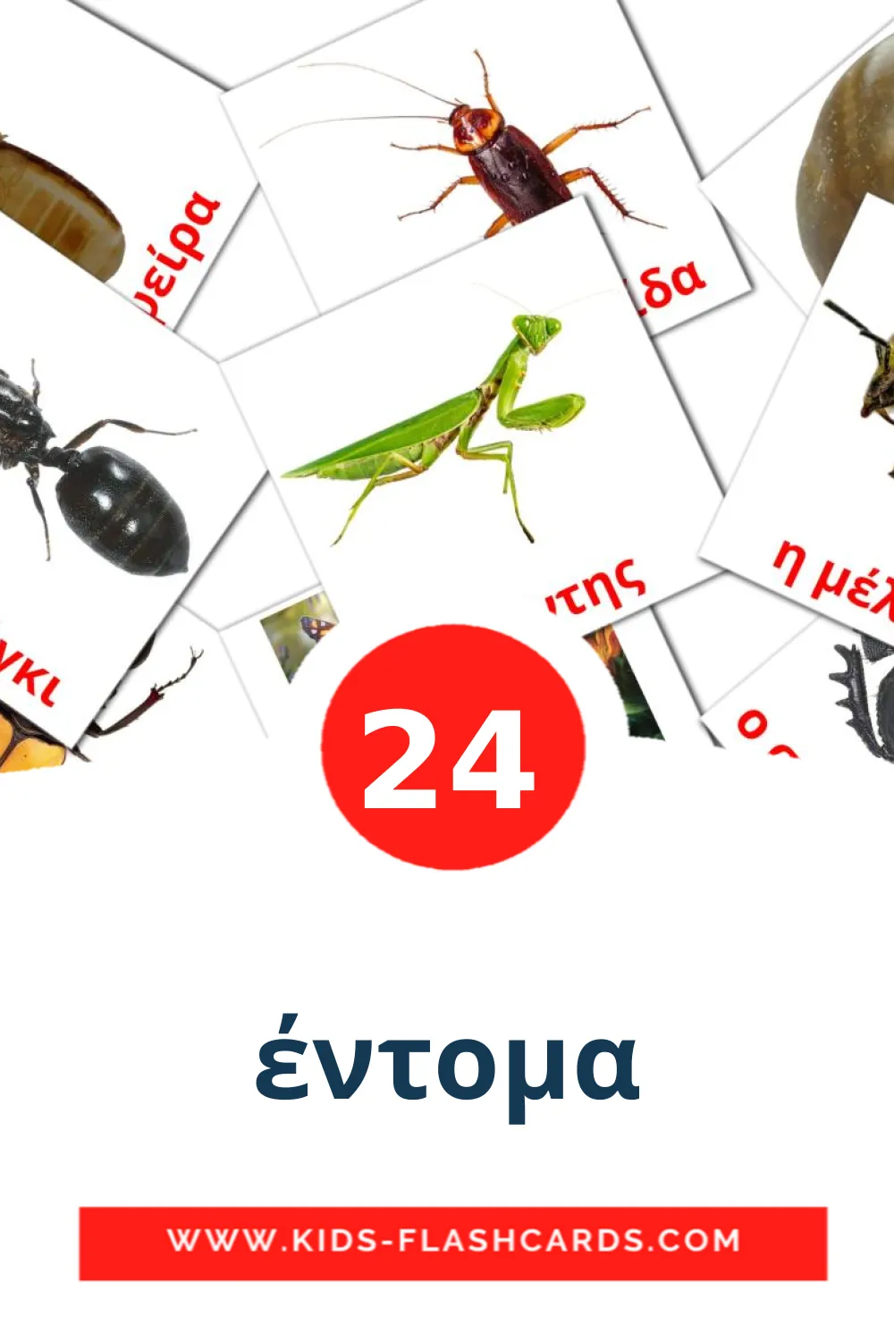 24 έντομα Picture Cards for Kindergarden in greek